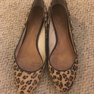 Matt Berson Leopard Ballet flats